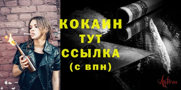 шишки Нефтегорск