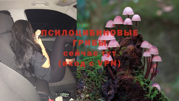соль курить ск Горняк