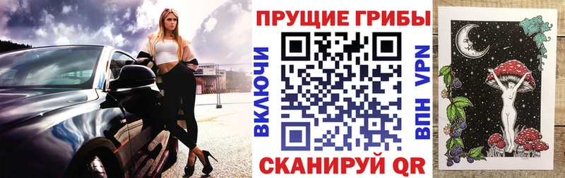 Псилоцибиновые грибы Psilocybine cubensis  Облучье 